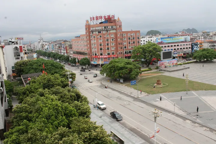 An elevated view of a tree-lined street and buildings in Zhongshan County
