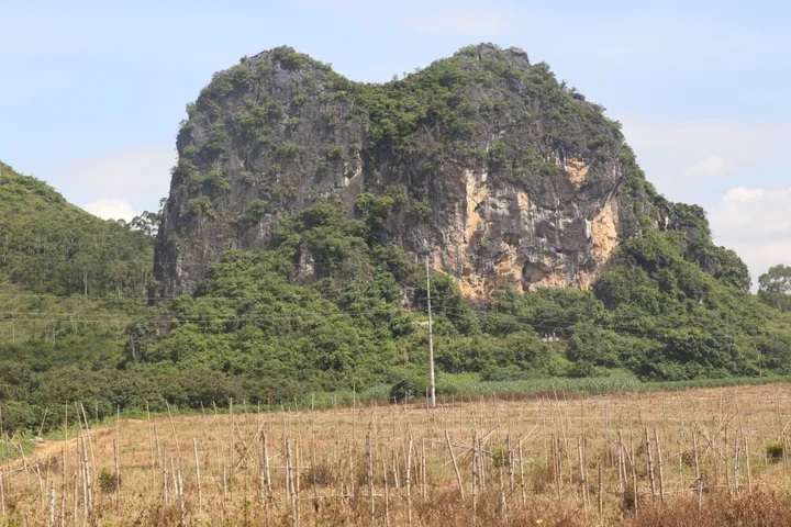 Dramatic karst limestone mountain rising above farmland in Fusui County