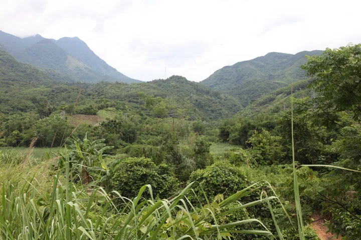 Green forested mountains along a roadside in Qiongzhong County