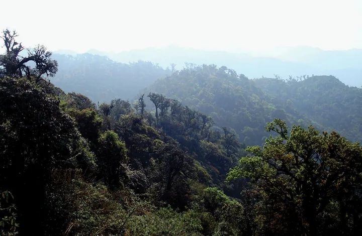 Misty forested mountain ridges at Fenshuiling in Jinping County