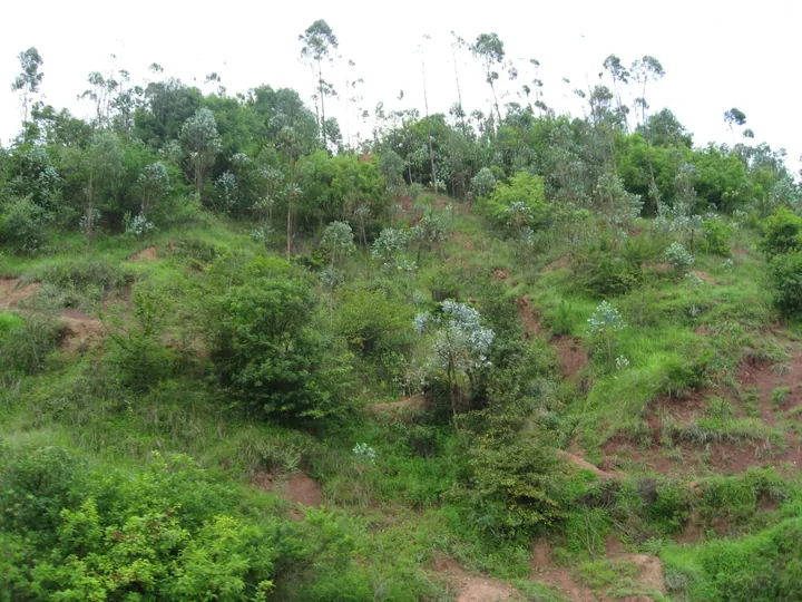 Misty river valley with a distant township below forested hills