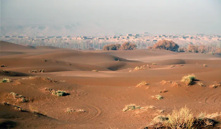 Desert dunes with a line of trees and raisin drying sheds at dusk near Shanshan City, Piqan County