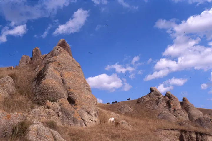 Weathered rock spires and grazing cattle under a blue sky in Nilka County