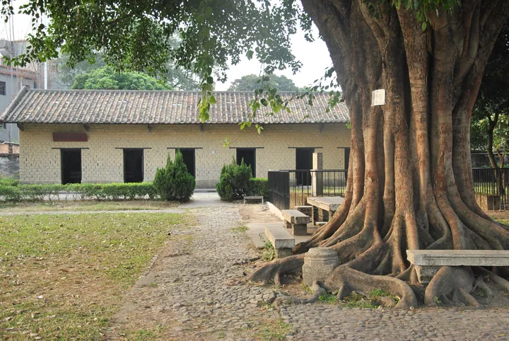 Traditional tiled-roof building of Hong Xiuquan's former residence with an old banyan tree in front