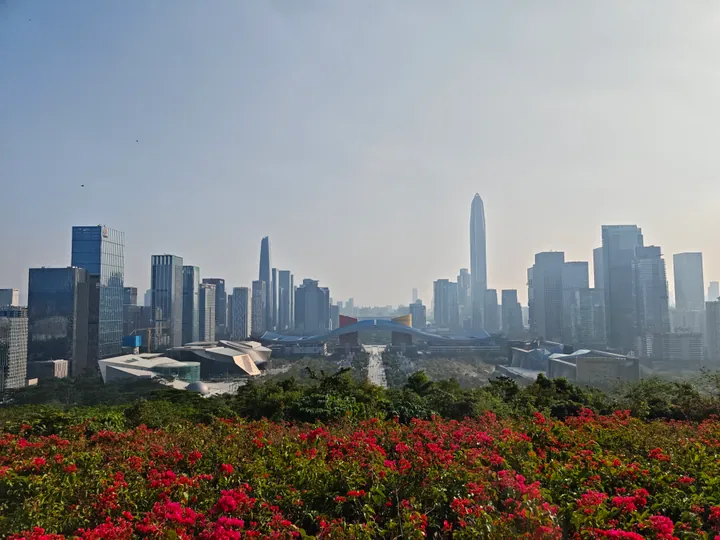 City skyline with skyscrapers viewed over red flowering bushes from a hillside park.