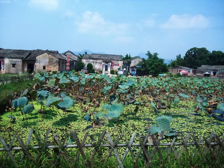 Old village houses beside a lotus pond in Sujiawei, Dongyuan County, Guangdong