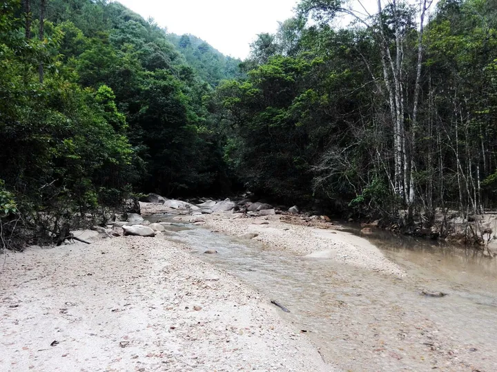 Rocky forest stream in Yunji Mountain nature reserve, Xinfeng County, Guangdong