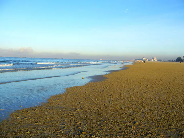 Wide sandy beach with gentle waves and people walking in the distance