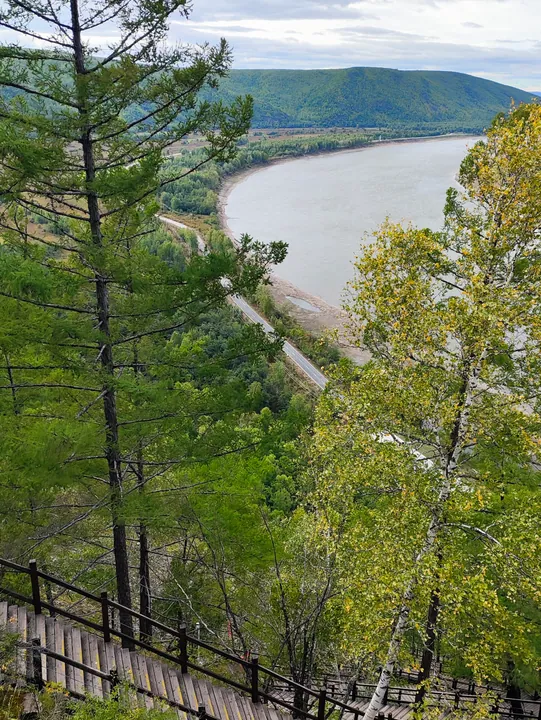 Aerial view of the Heilongjiang River's horseshoe bend from a forested viewpoint