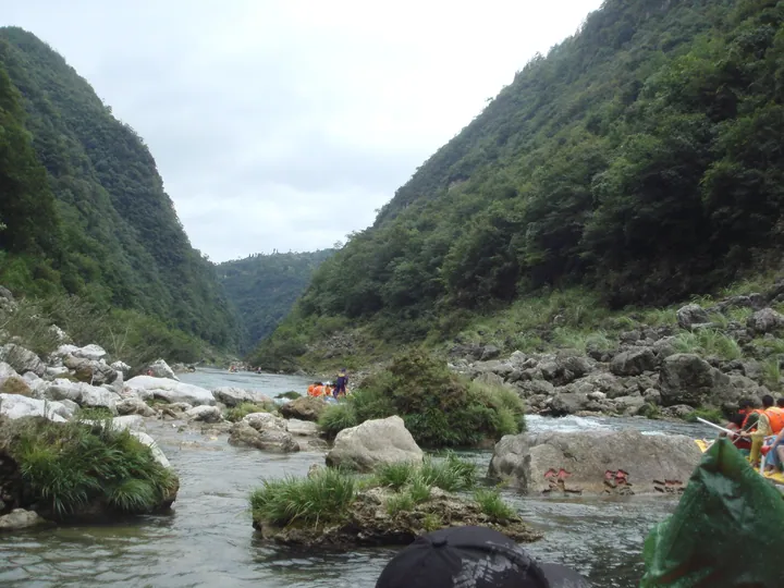People rafting down a river through a green forested gorge