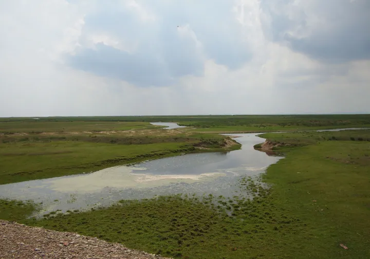 Green grassland with a winding river under a cloudy sky