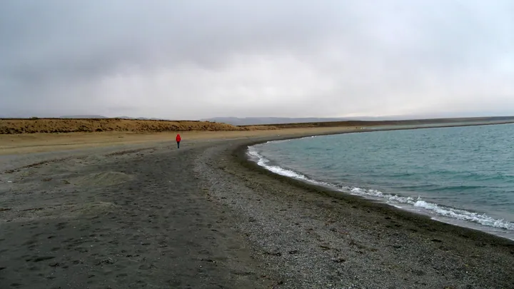 A person walking along a sandy lake shoreline under an overcast sky
