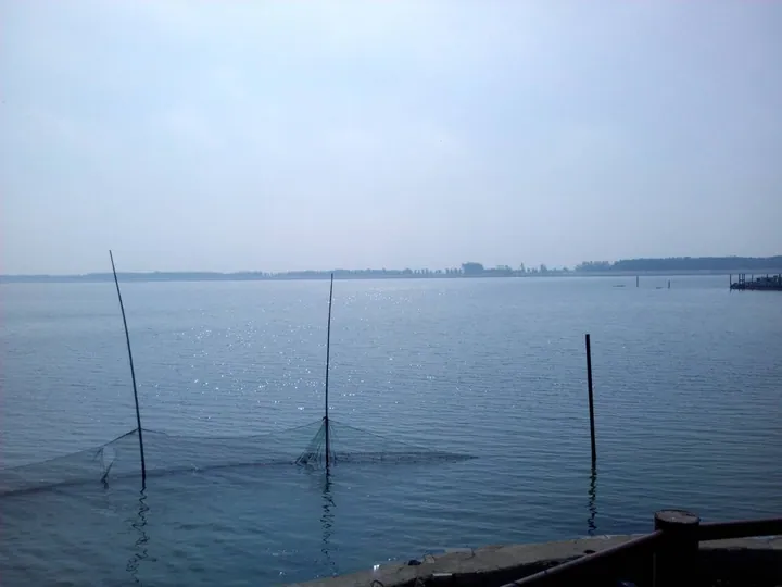 A hazy view across a wide lake with fishing nets on poles in the foreground