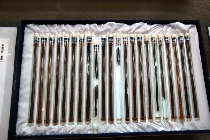 Rows of ancient bamboo slips in glass display tubes