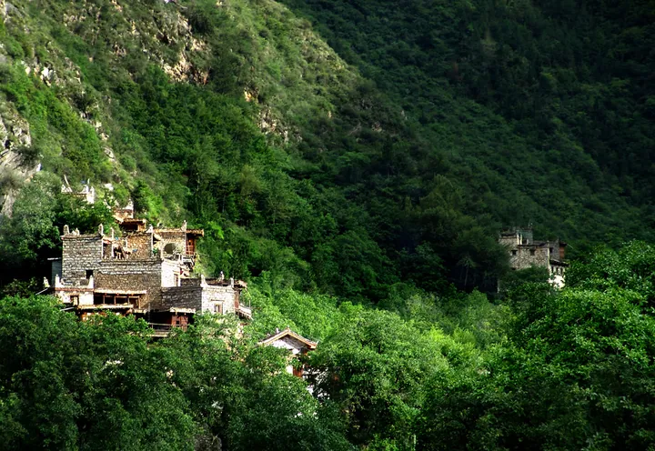 Tibetan stone houses with white-trimmed roofs on a green forested hillside