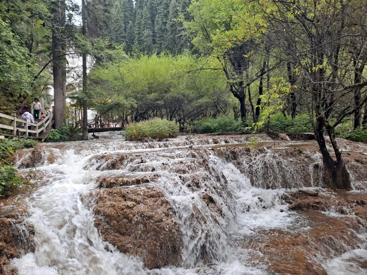 A wide tiered waterfall flowing over mineral terraces surrounded by forest