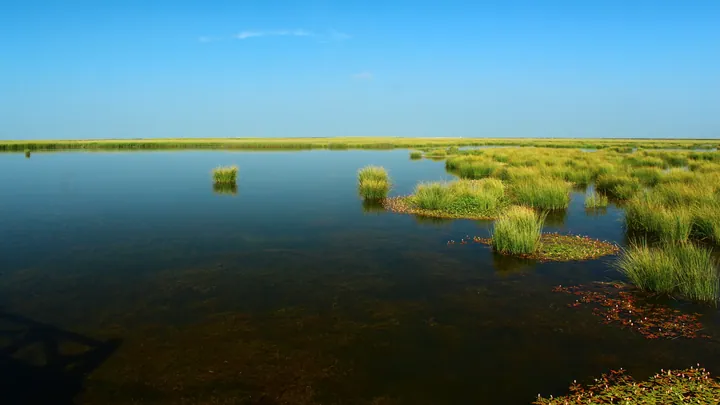 Wetland scenery at Ruoergai Flower Lake, Aba Prefecture