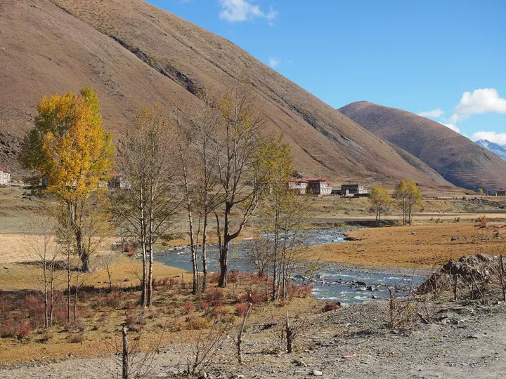 River, poplar trees and farmhouses in the Xinduqiao valley in autumn
