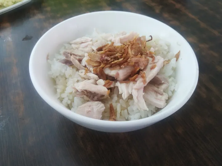 A bowl of rice topped with shredded turkey meat and fried shallots.