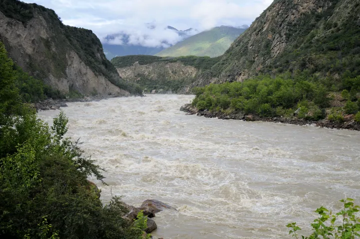 Whitewater rapids flowing through a steep, forested river gorge