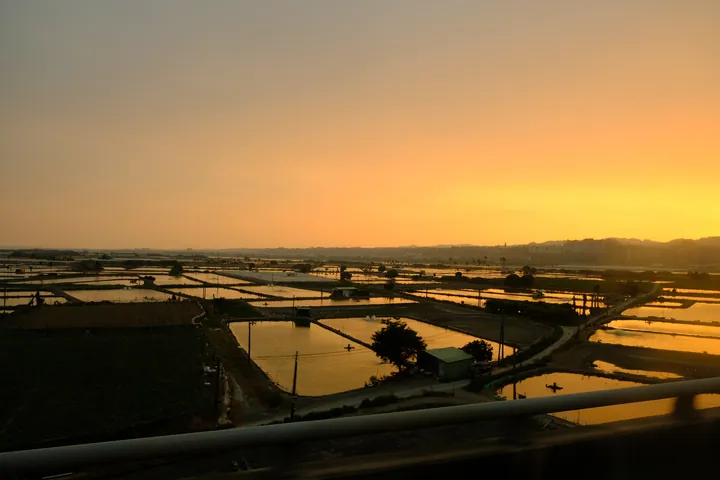Checkerboard fish ponds glowing under a sunset sky in Jiuru Township