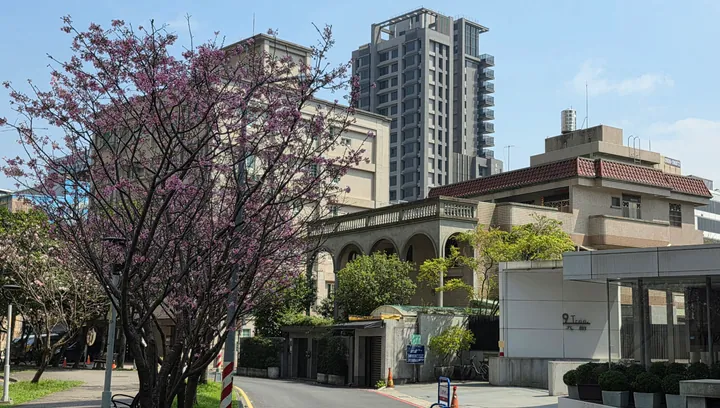 Blooming pink cherry blossom tree with apartment towers and an arcaded building in the background, Linkou District, New Taipei