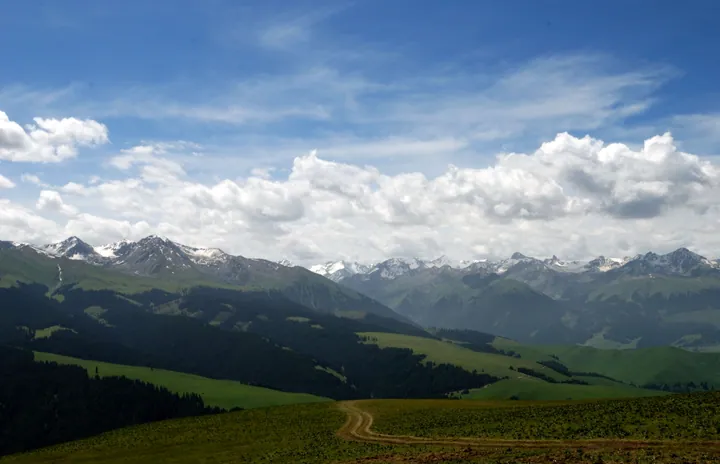 Green grassland hills backed by snow-capped mountains under a partly cloudy sky