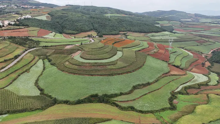 Aerial view of a circular patchwork of red, green and orange terraced fields