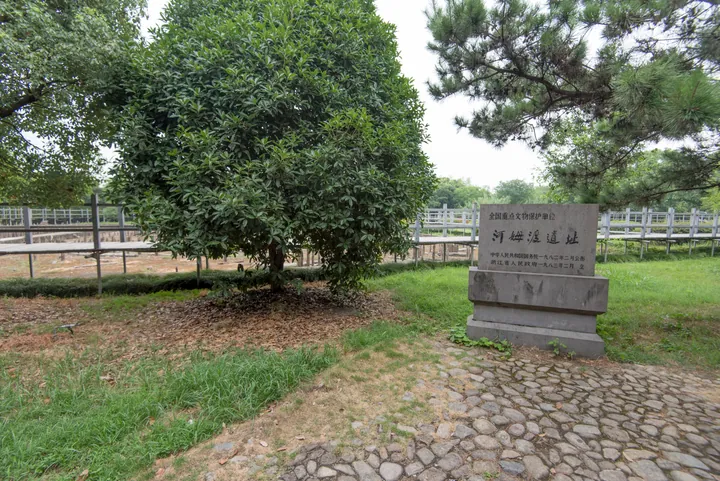 Stone marker inscribed '河姆渡遗址' beside a tree, with reconstructed site structures behind