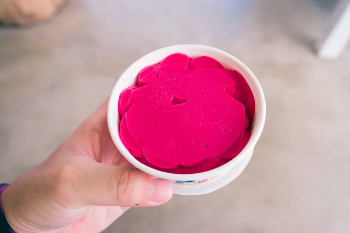 Cup of magenta cactus-fruit shaved ice