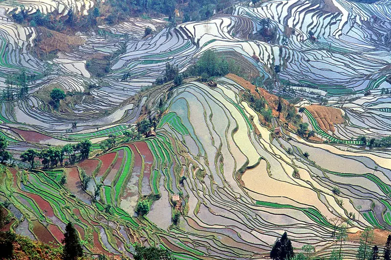Yuanyang Hani Rice Terraces (元阳哈尼梯田)
