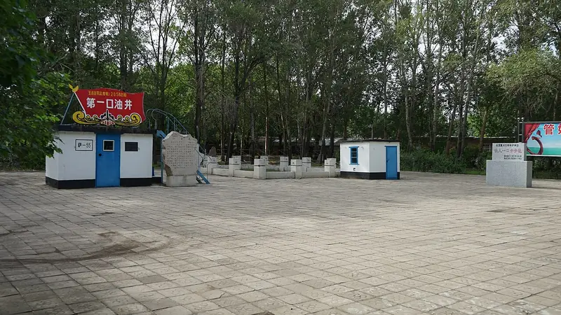 Representative view in Honggang District · 红岗区代表景观：Site of Well Sa-55 2017 summer