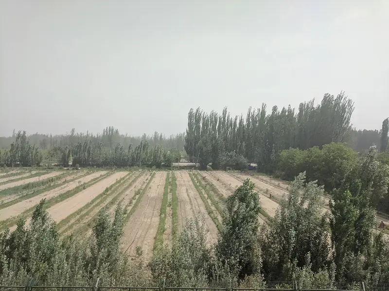 Representative view in Hotan County · 和田县代表景观：Hotan Farmland (IMG 20170519 120753)