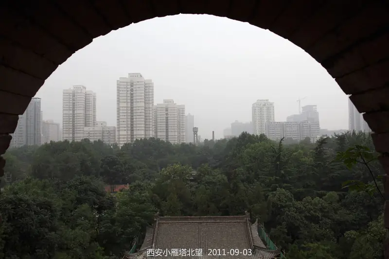 Small Wild Goose Pagoda and Xi'an Museum (小雁塔与西安博物院)
