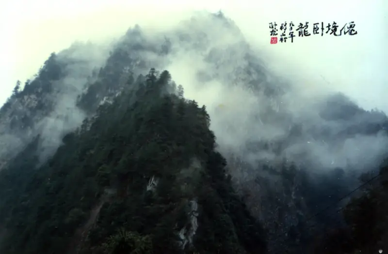 Wolong National Nature Reserve (卧龙国家级自然保护区)