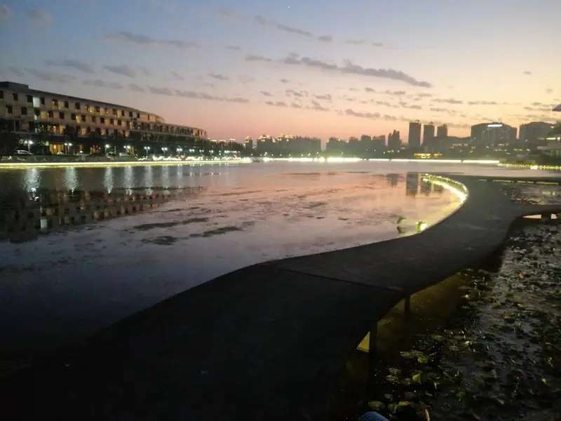 Shanghai Fish · Jinhai Lake Landscape (上海之鱼)
