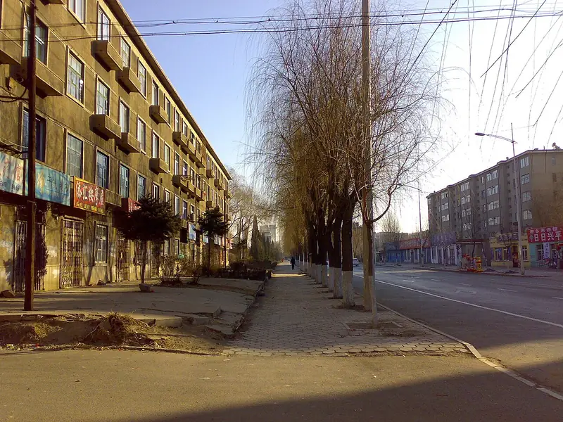 Representative view in Xihe District · 细河区代表景观:八一路 BaYi street - panoramio