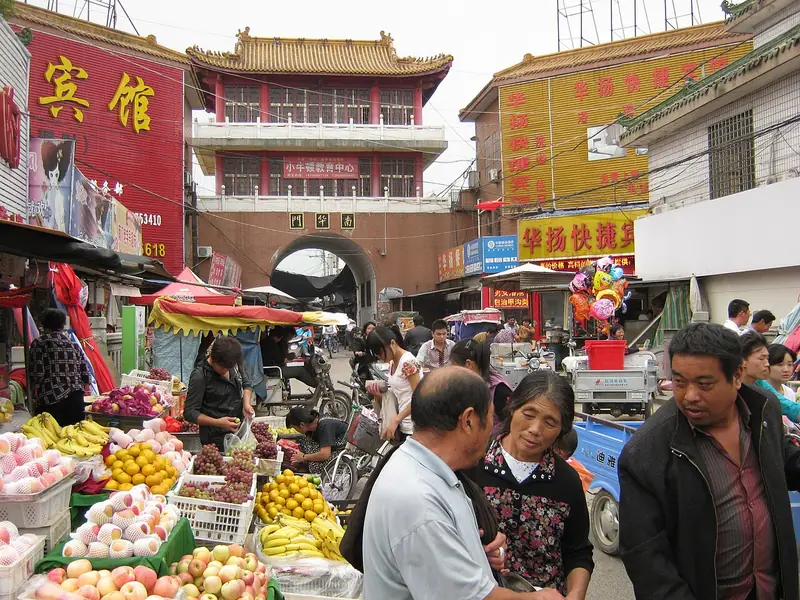 Representative view in Mengcheng County · 蒙城县代表景观:MengCheng