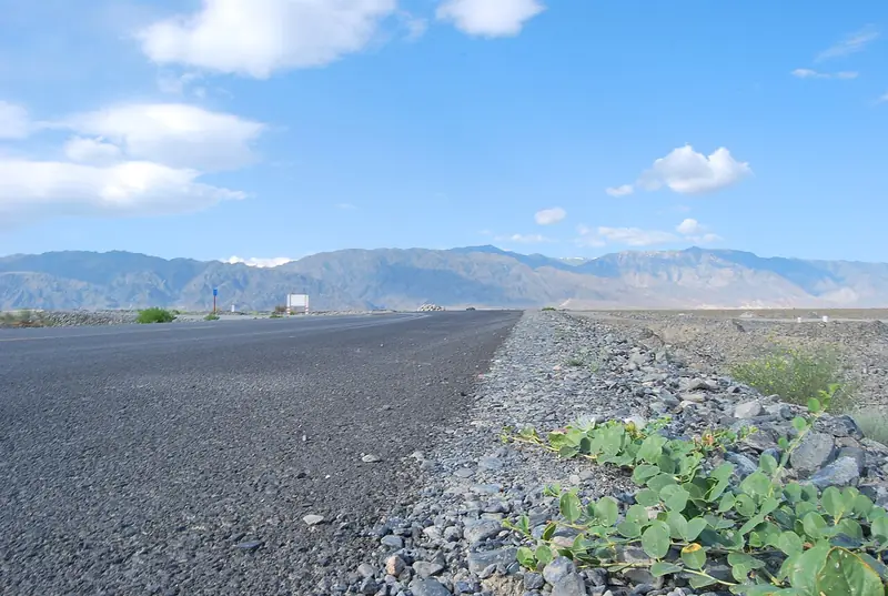 Representative view in Jinghe County · 精河县代表景观：路 road - panoramio