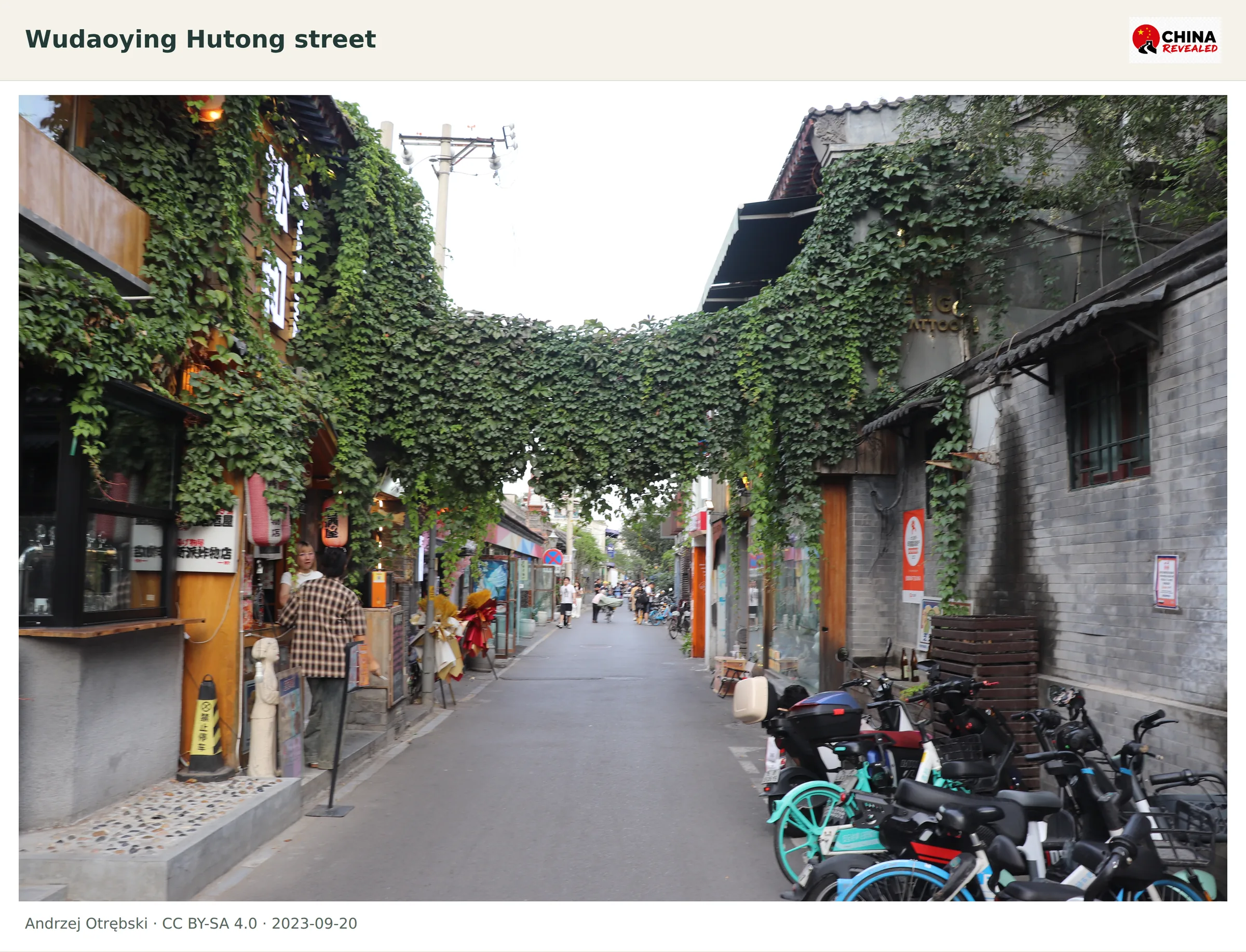 A leafy Beijing hutong lane lined with small shops, grey-brick walls and shared bicycles