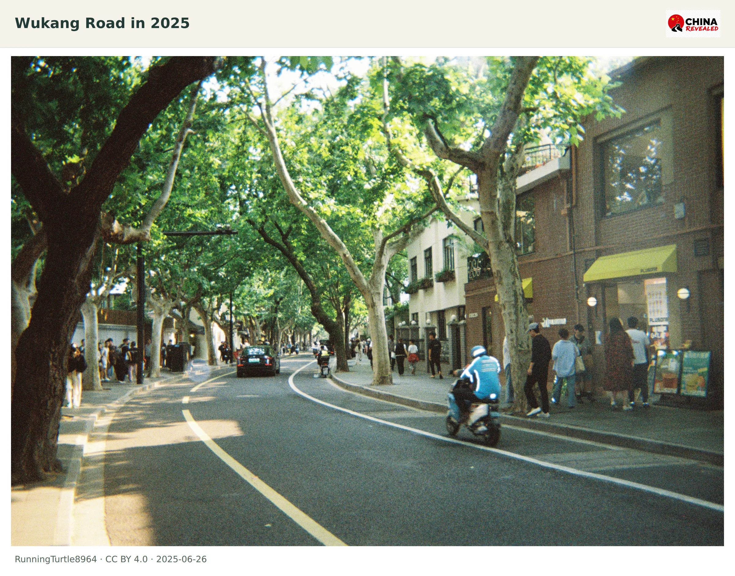 Plane-tree-lined Wukang Road with scooters, pedestrians and small shops in Shanghai's former French Concession