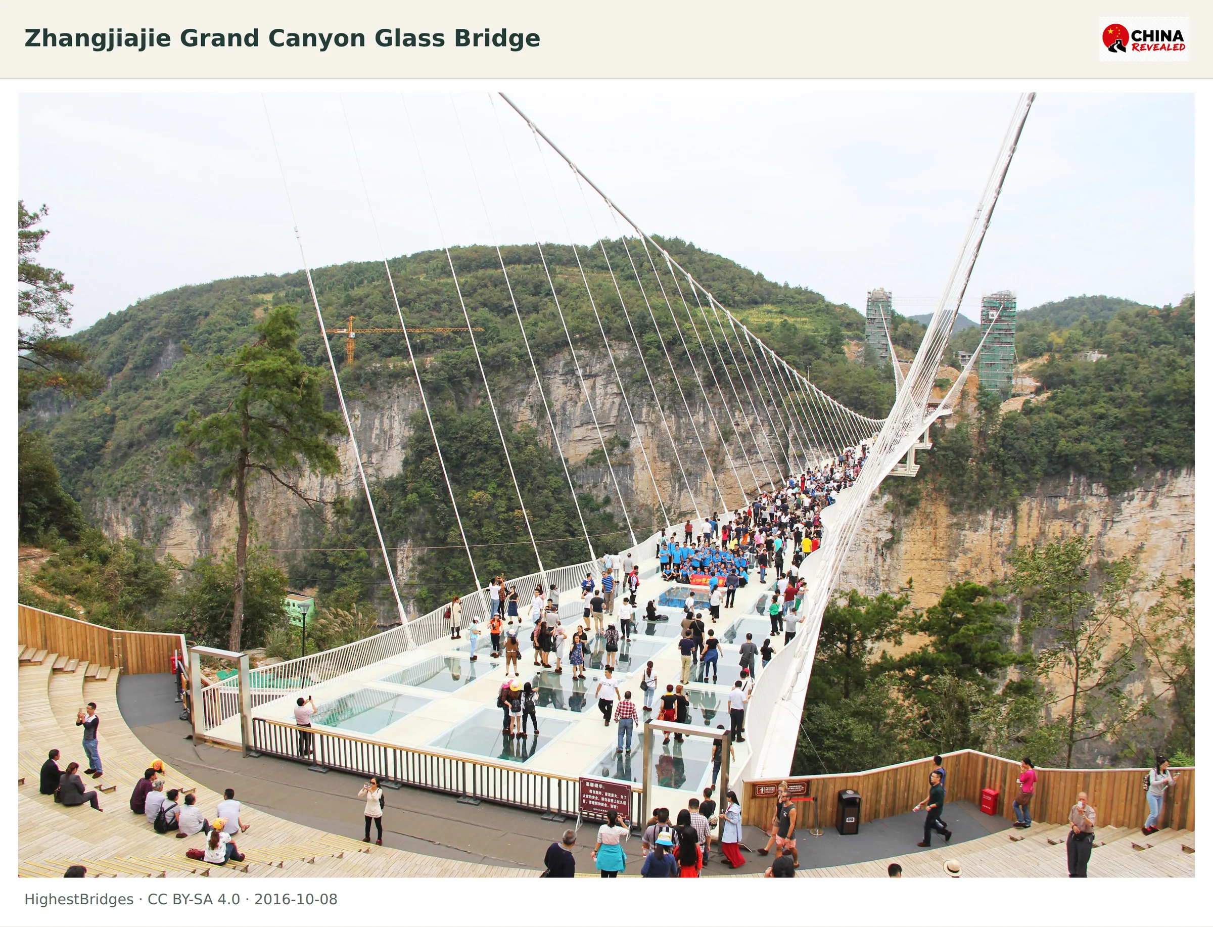 Visitors walking across the transparent Zhangjiajie Grand Canyon Glass Bridge above a forested gorge